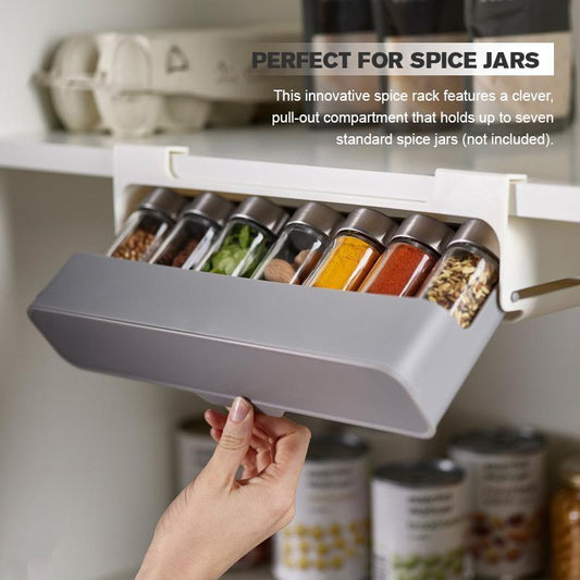 Kitchen Mounted Spice Organizer