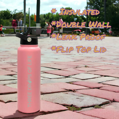 Stainless Steel Double Insulated Bottles